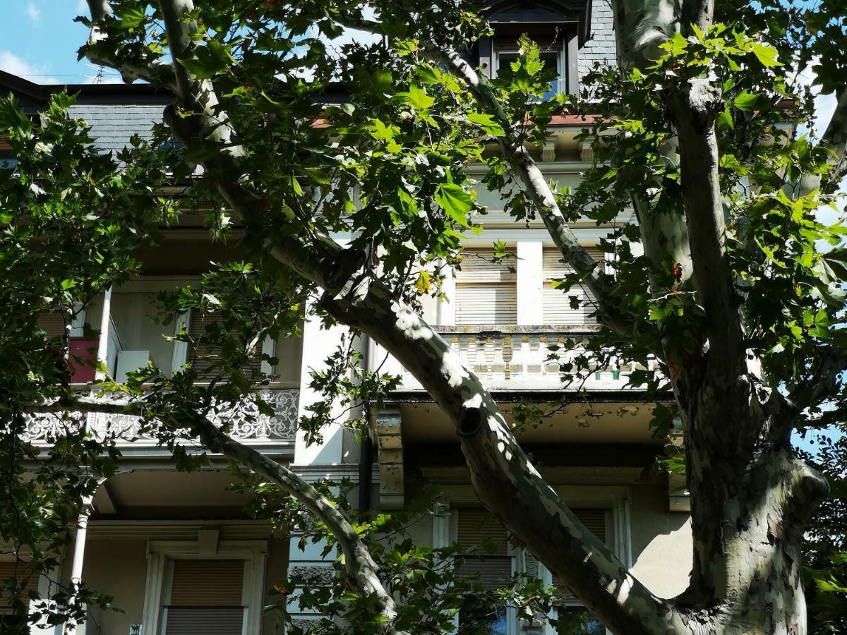 Spazioso E Accogliente Nel Centro Di Merano Luaran gambar
